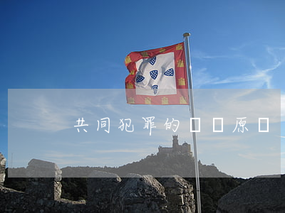 共同犯罪的處罰原則