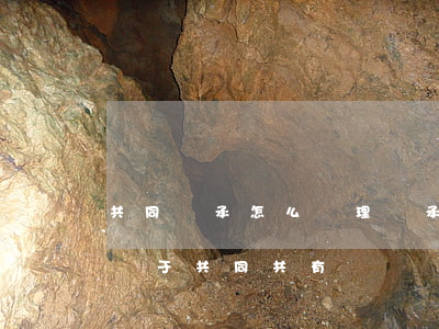 共同繼承怎么處理(繼承的房產(chǎn)屬于共同共有嗎)