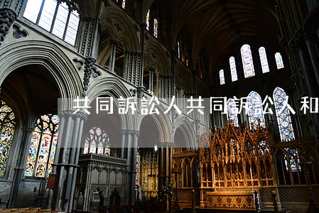 共同訴訟人(共同訴訟人和第三人是什么意思)