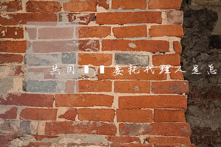 共同訴訟委托代理人是怎樣的