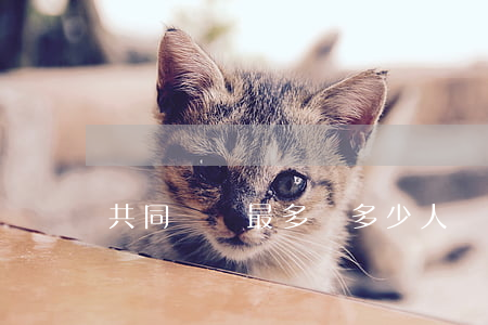 共同訴訟最多為多少人