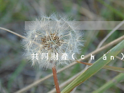 共同財產(chǎn)分割協(xié)議