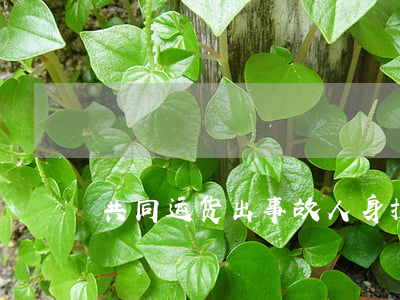 共同运货出事故，人身损害谁担责