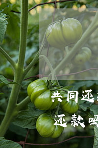 共同还款人两年前逾期(逾期2年还可以协商还款吗)