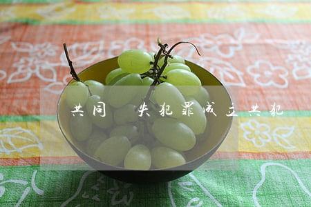 共同過失犯罪成立共犯嗎