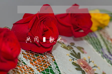 共同還款人