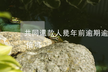 共同還款人幾年前逾期(逾期共同還款人上征信嗎)