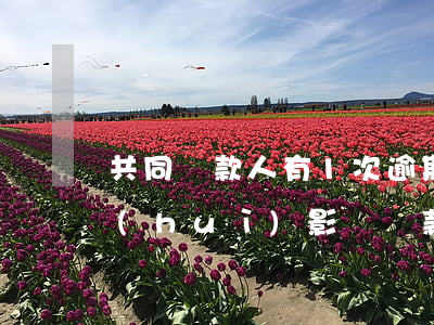 共同還款人有1次逾期(共同還款人有逾期會(huì)影響貸款嗎)
