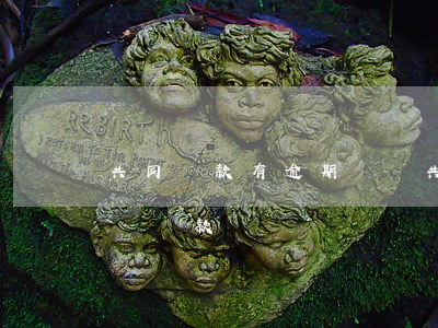 共同還款有逾期記錄(共同還款人有逾期會影響貸款嗎)