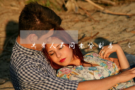 共有人不同意分割房產(chǎn)怎么辦