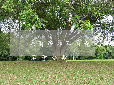 共有房屋不同意分割怎么處理(按份共有房屋不予分割)