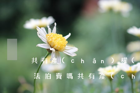 共有產(chǎn)權(quán)可以司法拍賣嗎(共有產(chǎn)權(quán)可以司法拍賣嗎)