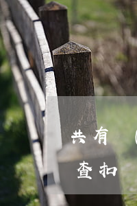 共有財(cái)產(chǎn)法院可以查扣嗎