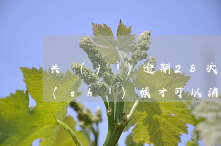 共計(jì)逾期28次(逾期22次什么時(shí)候才可以消除)