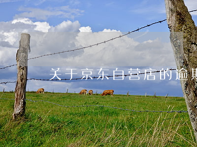 关于京东自营店的逾期(京东自营超过7天)