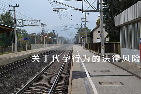关于代孕行为的法律风险
