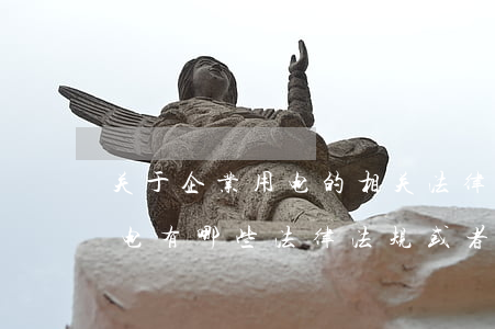关于企业用电的相关法律法规(企业安全用电有哪些法律法规或者条例规定)