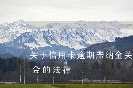 关于信用卡逾期滞纳金(关于信用卡逾期滞纳金的法律)