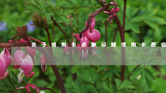 关于信用卡逾期问题(信用卡面临逾期怎么办)
