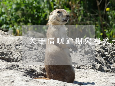 关于借呗逾期欠费(关于借呗逾期欠费)