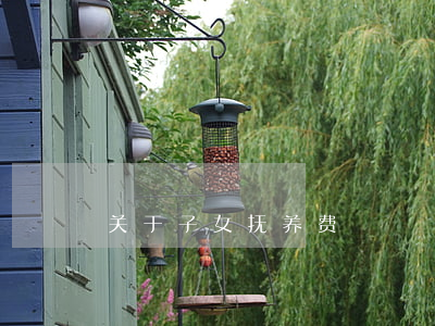 关于子女抚养费