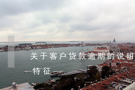 关于客户贷款逾期的说明(分析贷款逾期客户特征)