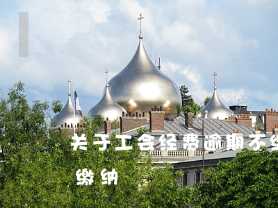 关于工会经费逾期不缴纳(工会经费是否强制缴纳)