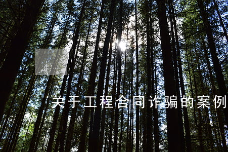 关于工程合同诈骗的案例(合同诈骗案例大全)