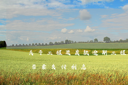 关于工程进度款逾期(工程进度款逾期支付是否要支付利息)