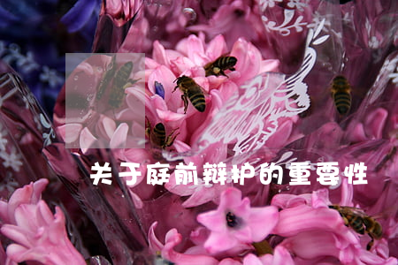 关于庭前辩护的重要性