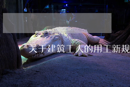 关于建筑工人的用工新规定