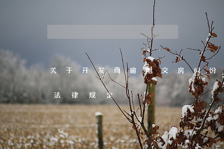 关于开发商逾期交房纠纷 开发商逾期交房的法律规定