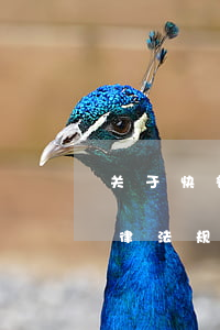 关于快餐配送法律法规(与餐饮业有关的法律法规)