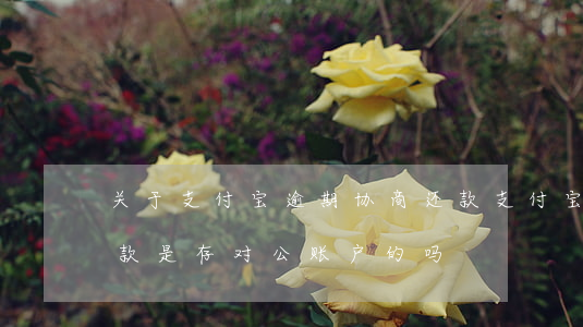 关于支付宝逾期协商还款(支付宝逾期协商还款是存对公账户的吗)