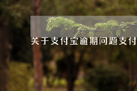关于支付宝逾期问题(支付宝逾期的)