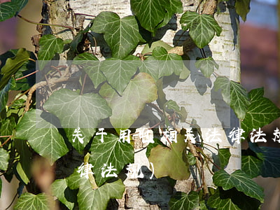 关于用电相关法律法规(关于供电有哪些法律法规)