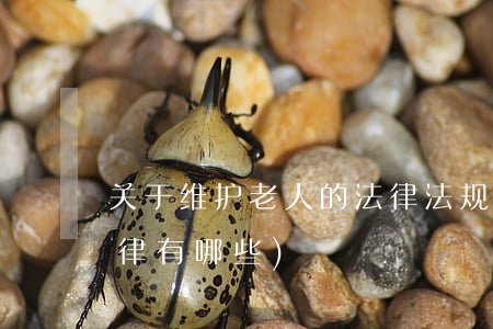 关于维护老人的法律法规(保护老年人的法律有哪些)