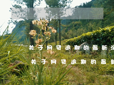 关于网贷逾期的最新法律2022年5月-关于网贷逾期的最新法律2022年5月1日