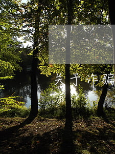 关于诈骗的法律知识(法律怎么定义诈骗)