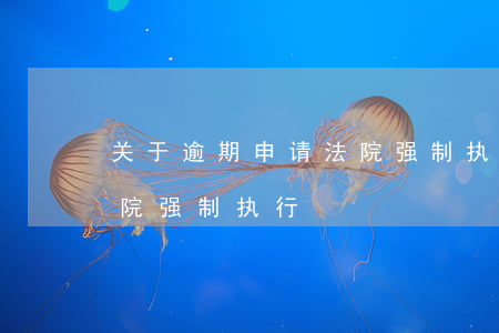 关于逾期申请法院强制执行(关于逾期申请法院强制执行)
