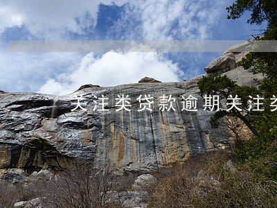 关注类贷款逾期(关注类贷款算逾期吗)