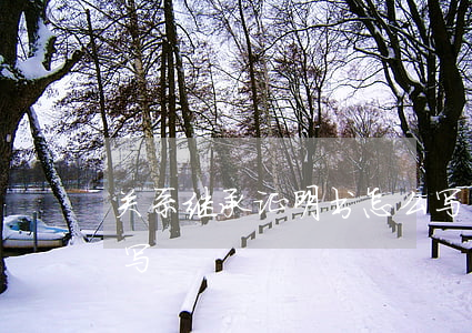 关系继承证明书怎么写(申请继承证明书怎么写)