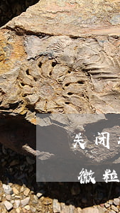 关闭微信微粒贷可以正常还款吗-关闭微信微粒贷可以正常还款吗安全吗