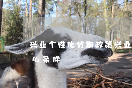 兴业个性化分期政策(兴业个性化分期需要什么条件)