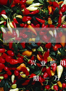 兴业信用卡4万逾期一年(兴业银行信用卡逾期一万多会被起诉吗)