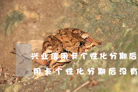 兴业信用卡个性化分期后没有停息-兴业信用卡个性化分期后没有停息挂账