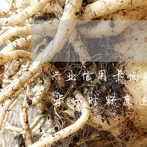 兴业信用卡临时额度逾期了三天-兴业信用卡临时额度逾期了三天怎么办