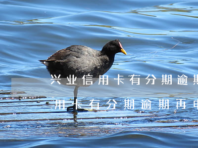 兴业信用卡有分期逾期再申请被拒-兴业信用卡有分期逾期再申请被拒怎么办