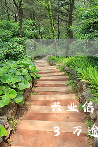 兴业信用卡逾期10天会怎样(兴业信用卡13万逾期)