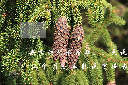 兴业信用卡逾期11天说停卡(兴业银行逾期二个月就威胁说要停卡还全额)